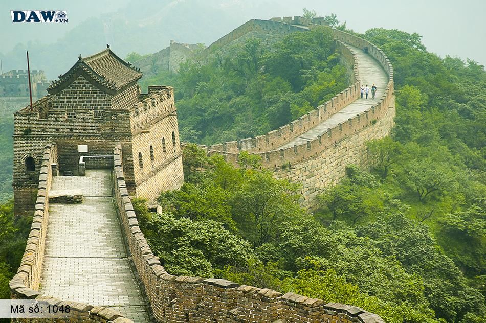 1048 Tranh dán tường Hàn Quốc | Tranh dán tường Thiên Nhiên - Phong Cảnh 1048
