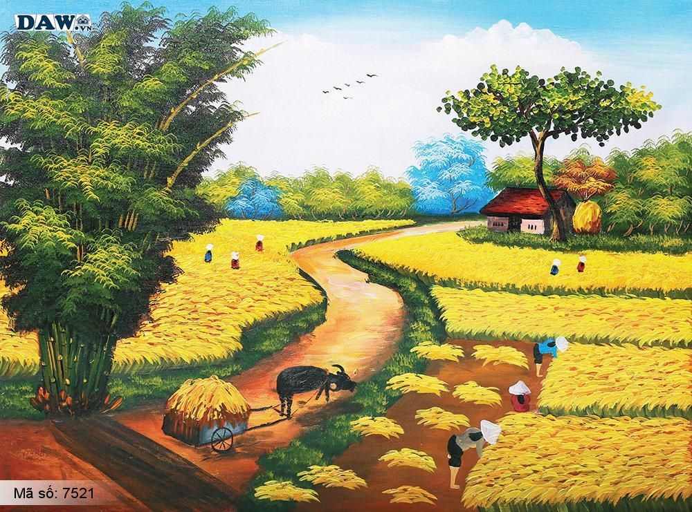 Tranh dán tường Tphcm, làng quê thu hoạc lúa cuối mùa, tranh vẽ 7521
